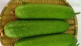 Bí Đao (Hát Môn)