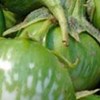 /uploads/products/ca-ghem-xanh.jpg