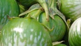 Cà ghém xanh ( Hát Môn)