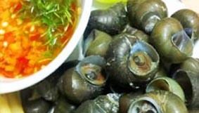 Ốc đầm (Hát Môn)