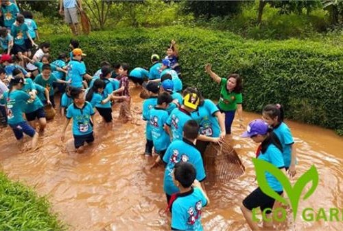 Khu trải nghiệm  Eco garden Thái Dương